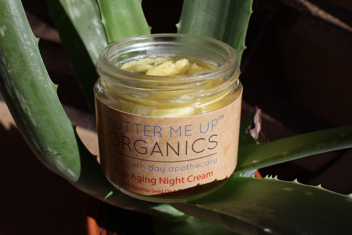 Anti-Aging Night Cream